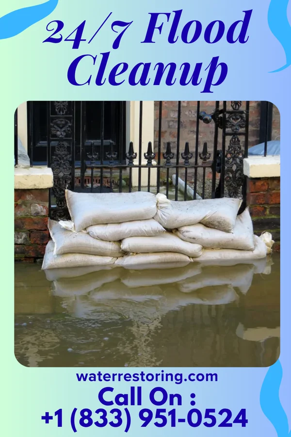 24/7 Flood Cleanup in Airport Road Addition, TX