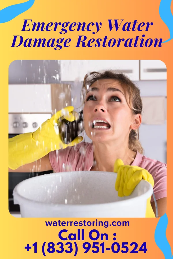 Emergency Water Damage Restoration in Airport Road Addition, TX